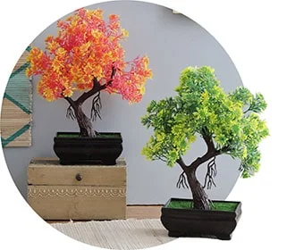 Pots & Planters